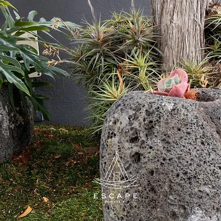 Atlantic Flow House By Escape To Madeira