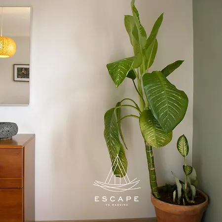 Villa Atlantic Flow House By Escape To Madeira