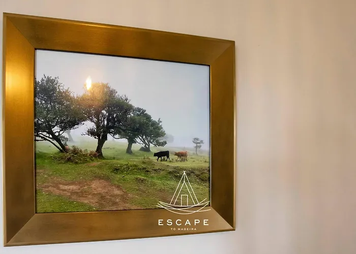 Atlantic Flow House By Escape To Madeira Villa