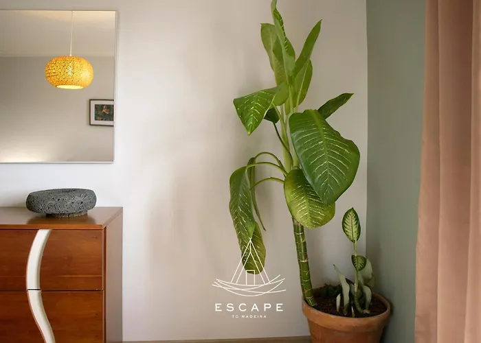 Villa Atlantic Flow House By Escape To Madeira