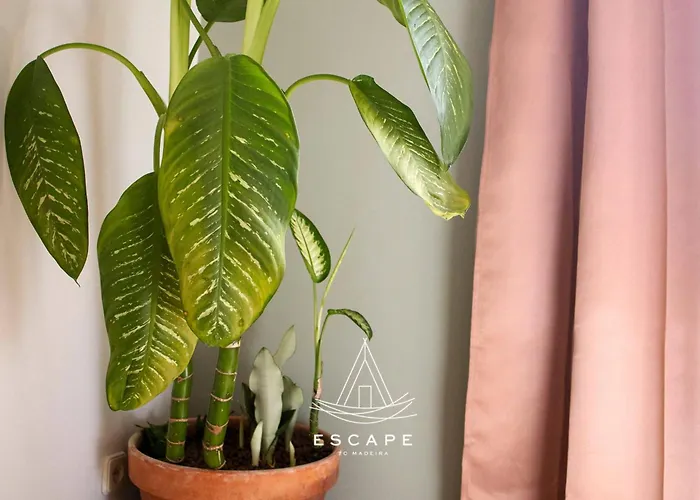 Atlantic Flow House By Escape To Madeira * Arco da Calheta (Madeira)