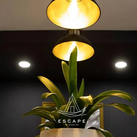 Atlantic Flow House By Escape To Madeira Βίλα