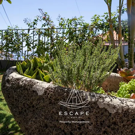 Villa Atlantic Flow House By Escape To Madeira *