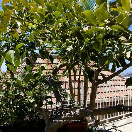 Atlantic Flow House By Escape To Madeira أركو دا كالهيتا