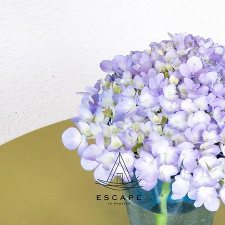 Atlantic Flow House By Escape To Madeira