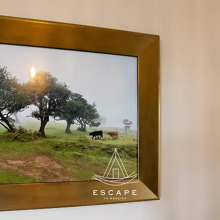 Atlantic Flow House By Escape To Madeira Βίλα