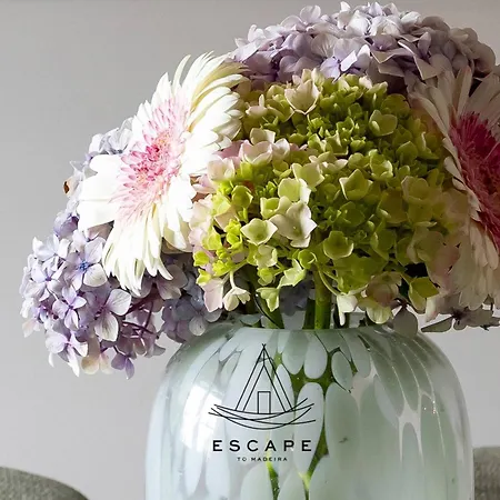 Βίλα Atlantic Flow House By Escape To Madeira *