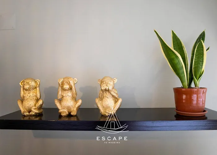 Villa Atlantic Flow House By Escape To Madeira Arco da Calheta (Madeira)