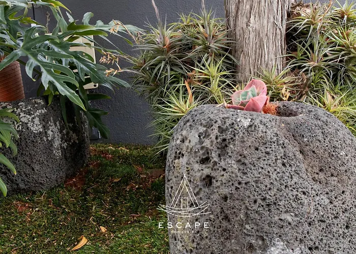 Atlantic Flow House By Escape To Madeira